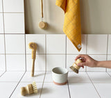 cleaning brush