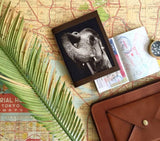 credit card holder wallet womens