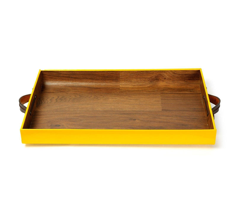 tray with handles